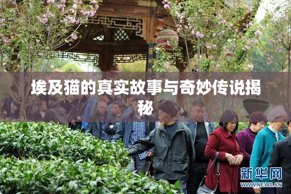 埃及猫的真实故事与奇妙传说揭秘