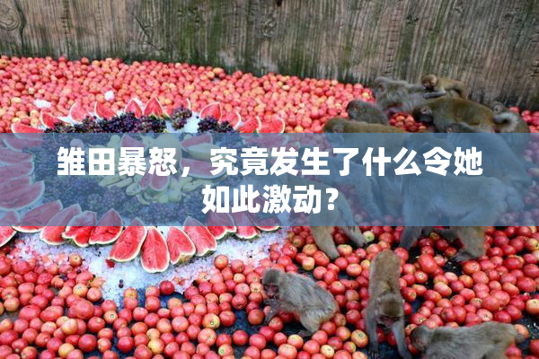 雏田暴怒，究竟发生了什么令她如此激动？