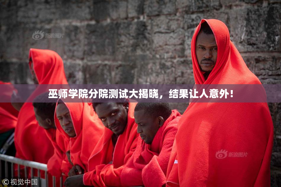 巫师学院分院测试大揭晓，结果让人意外！