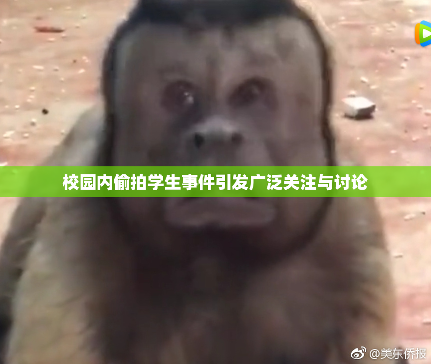 校园内偷拍学生事件引发广泛关注与讨论