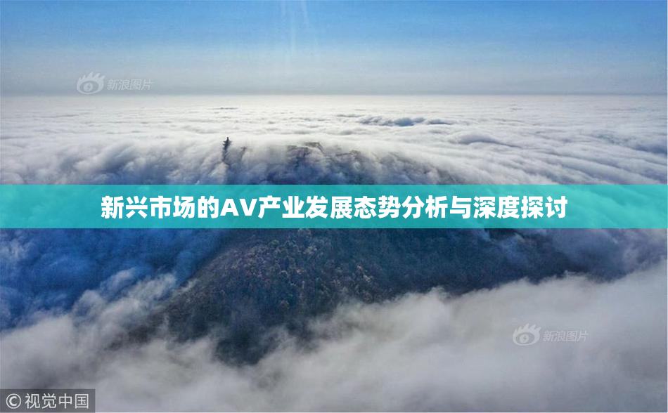 新兴市场的AV产业发展态势分析与深度探讨
