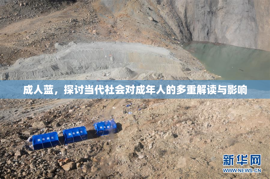 成人蓝，探讨当代社会对成年人的多重解读与影响
