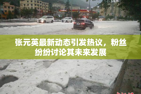 张元英最新动态引发热议，粉丝纷纷讨论其未来发展