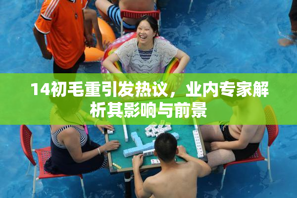14初毛重引发热议，业内专家解析其影响与前景