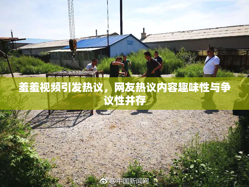 羞羞视频引发热议，网友热议内容趣味性与争议性并存