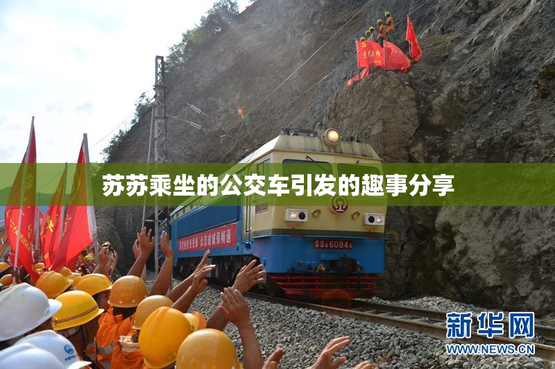 苏苏乘坐的公交车引发的趣事分享