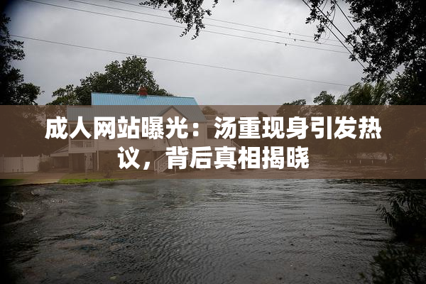 成人网站曝光：汤重现身引发热议，背后真相揭晓