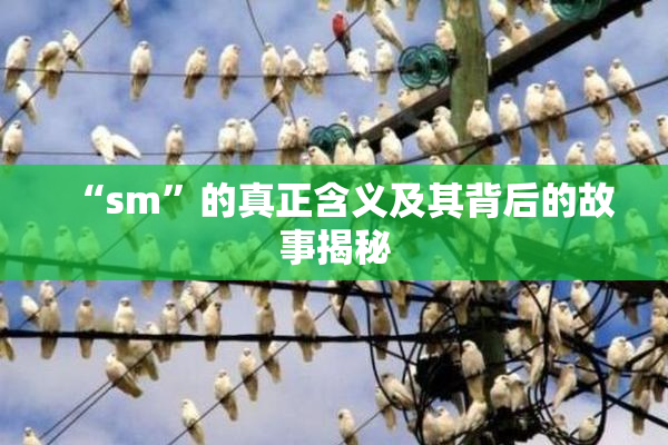 “sm”的真正含义及其背后的故事揭秘