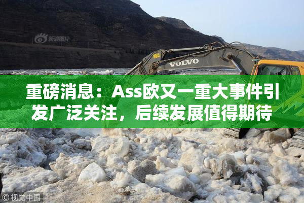 重磅消息：Ass欧又一重大事件引发广泛关注，后续发展值得期待！