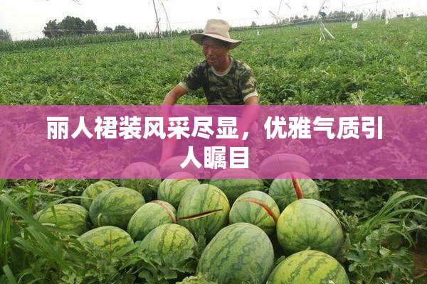 丽人裙装风采尽显，优雅气质引人瞩目