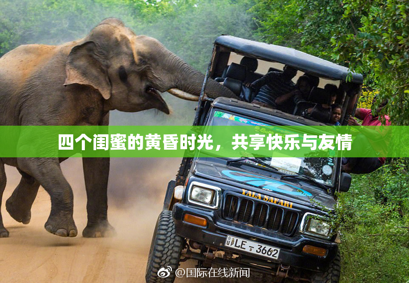 四个闺蜜的黄昏时光，共享快乐与友情