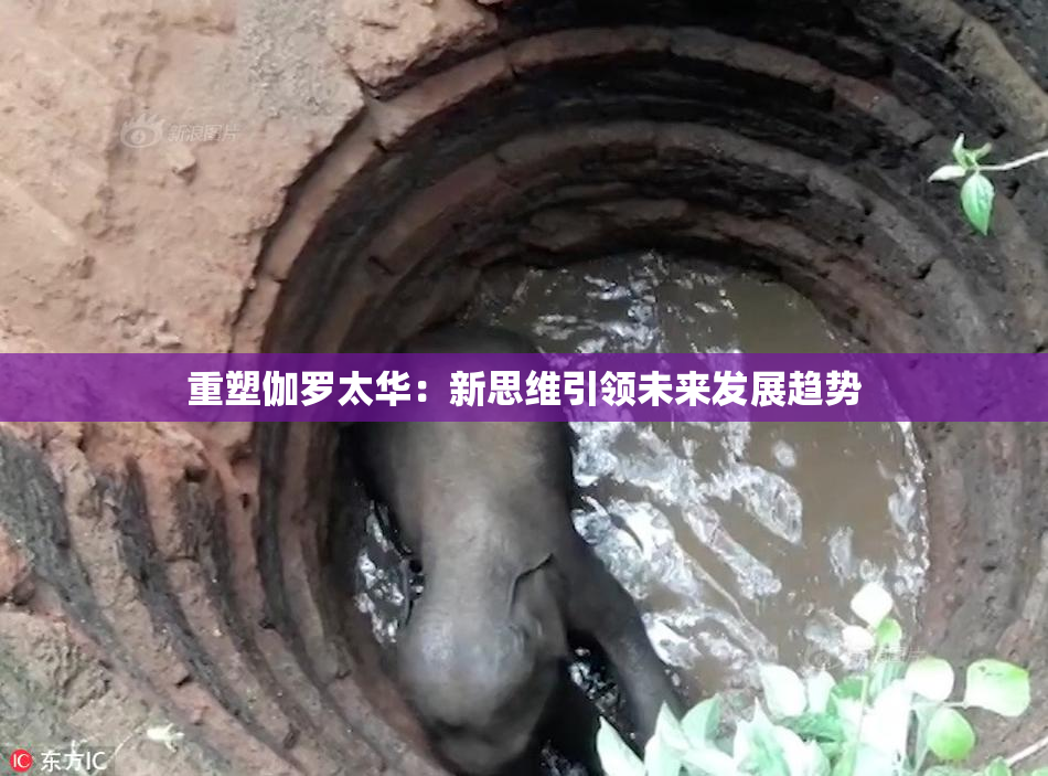 重塑伽罗太华：新思维引领未来发展趋势