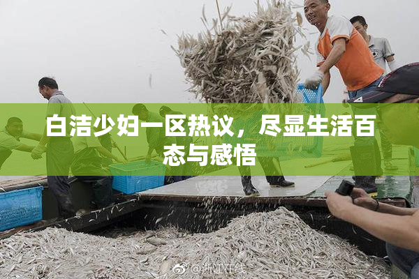 白洁少妇一区热议，尽显生活百态与感悟
