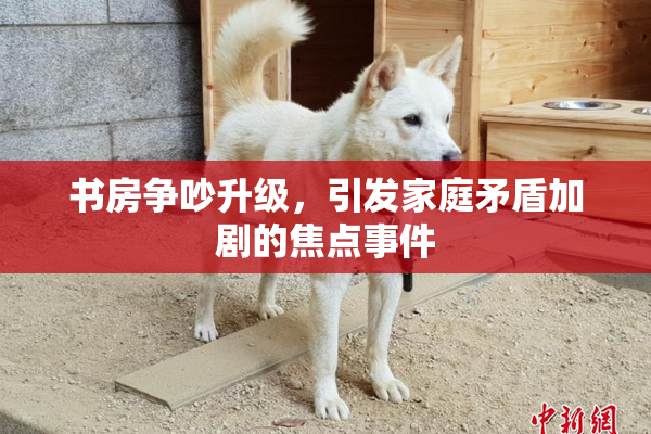 书房争吵升级，引发家庭矛盾加剧的焦点事件