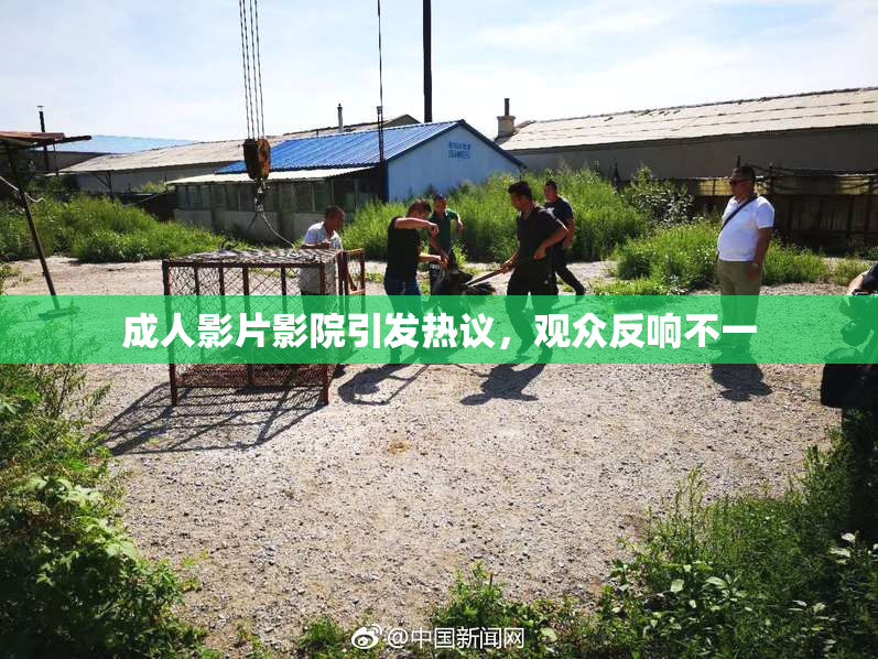成人影片影院引发热议，观众反响不一
