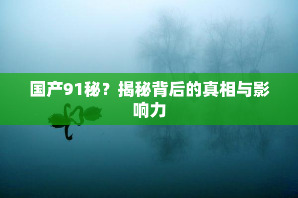 国产91秘？揭秘背后的真相与影响力
