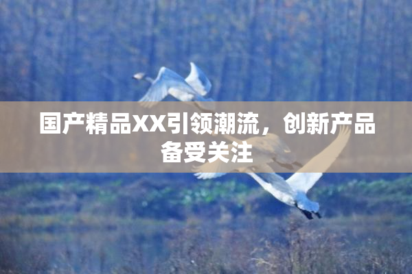 国产精品XX引领潮流，创新产品备受关注