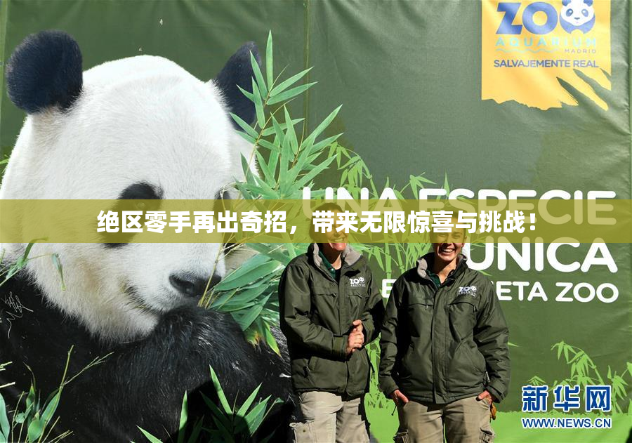 绝区零手再出奇招，带来无限惊喜与挑战！