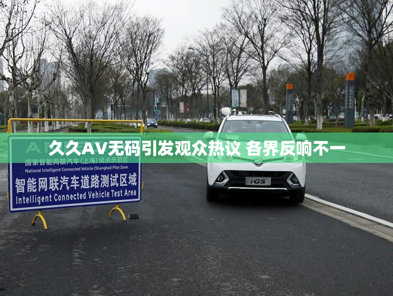 久久AV无码引发观众热议 各界反响不一