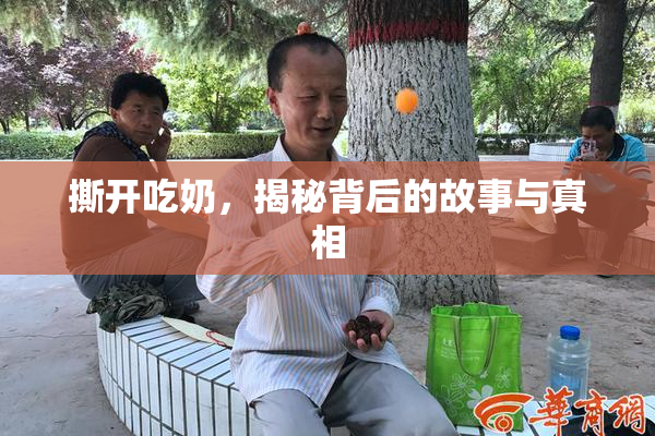 撕开吃奶，揭秘背后的故事与真相