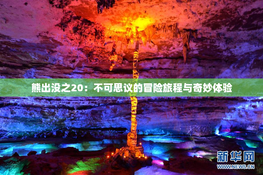 熊出没之20：不可思议的冒险旅程与奇妙体验