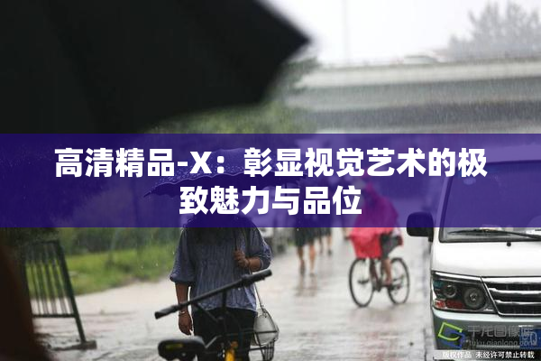 高清精品-X：彰显视觉艺术的极致魅力与品位