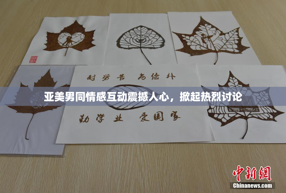 亚美男同情感互动震撼人心，掀起热烈讨论