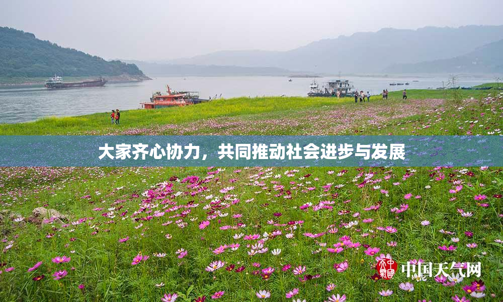 大家齐心协力，共同推动社会进步与发展