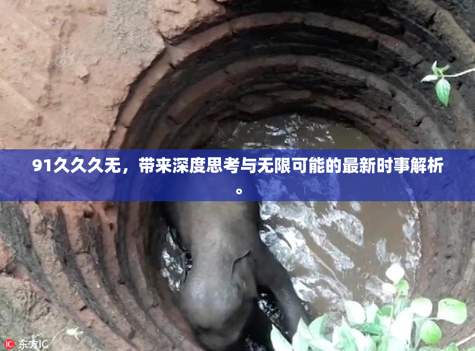91久久久无，带来深度思考与无限可能的最新时事解析。