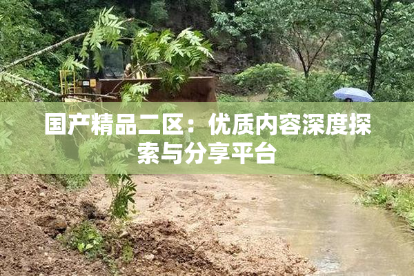 国产精品二区：优质内容深度探索与分享平台