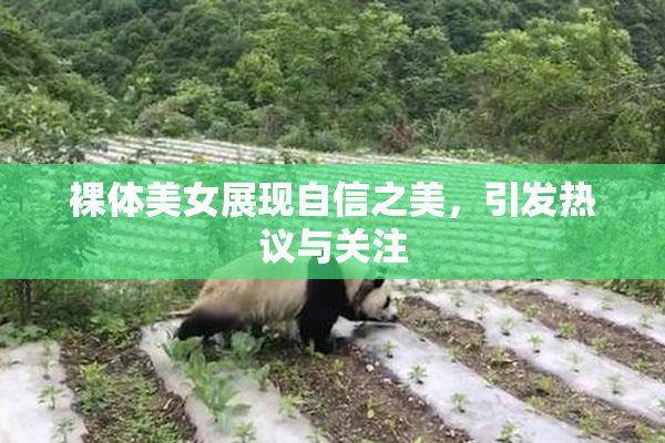 裸体美女展现自信之美，引发热议与关注