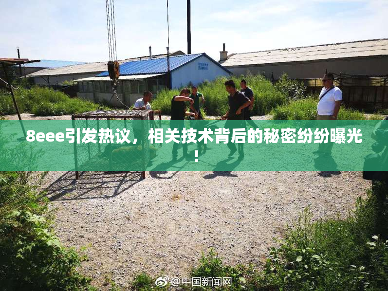 8eee引发热议，相关技术背后的秘密纷纷曝光！