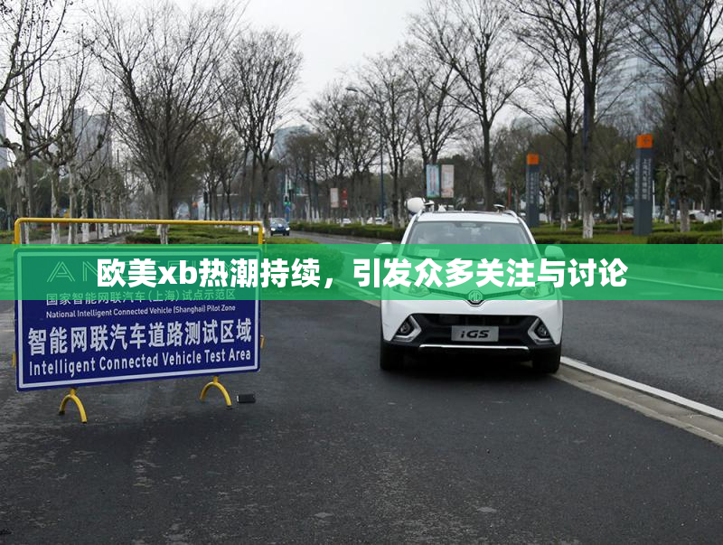 欧美xb热潮持续，引发众多关注与讨论