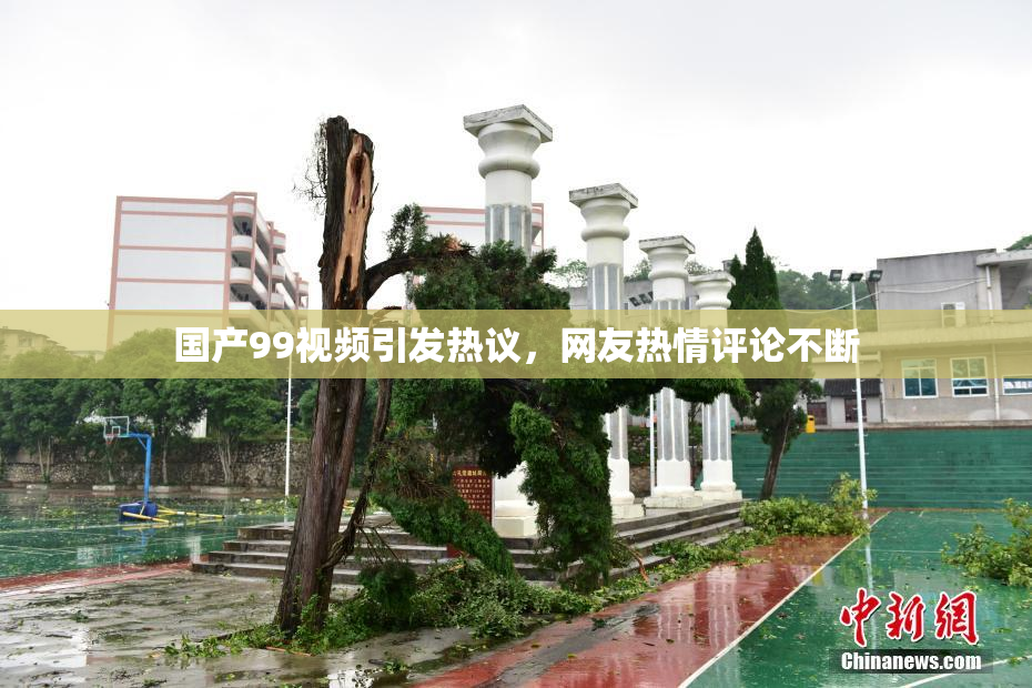 国产99视频引发热议，网友热情评论不断