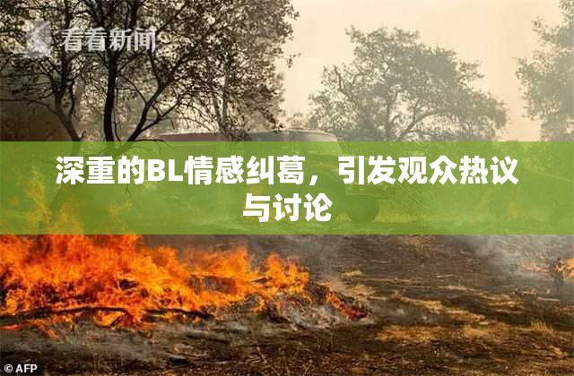 深重的BL情感纠葛，引发观众热议与讨论