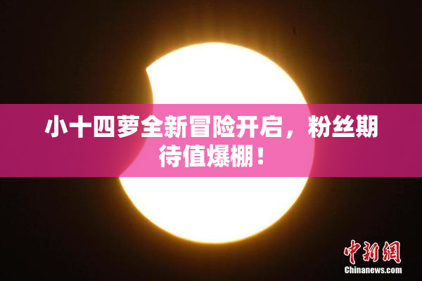 小十四萝全新冒险开启，粉丝期待值爆棚！