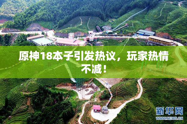原神18本子引发热议，玩家热情不减！