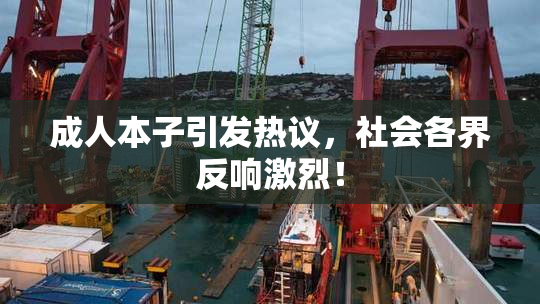 成人本子引发热议，社会各界反响激烈！