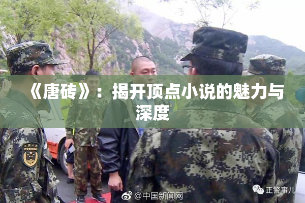 《唐砖》：揭开顶点小说的魅力与深度