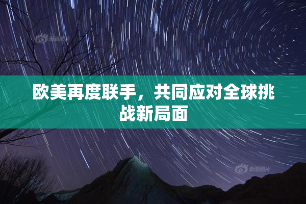 欧美再度联手，共同应对全球挑战新局面