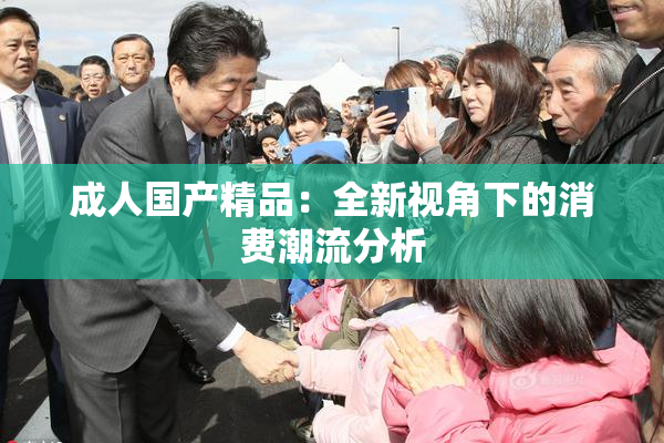 成人国产精品：全新视角下的消费潮流分析