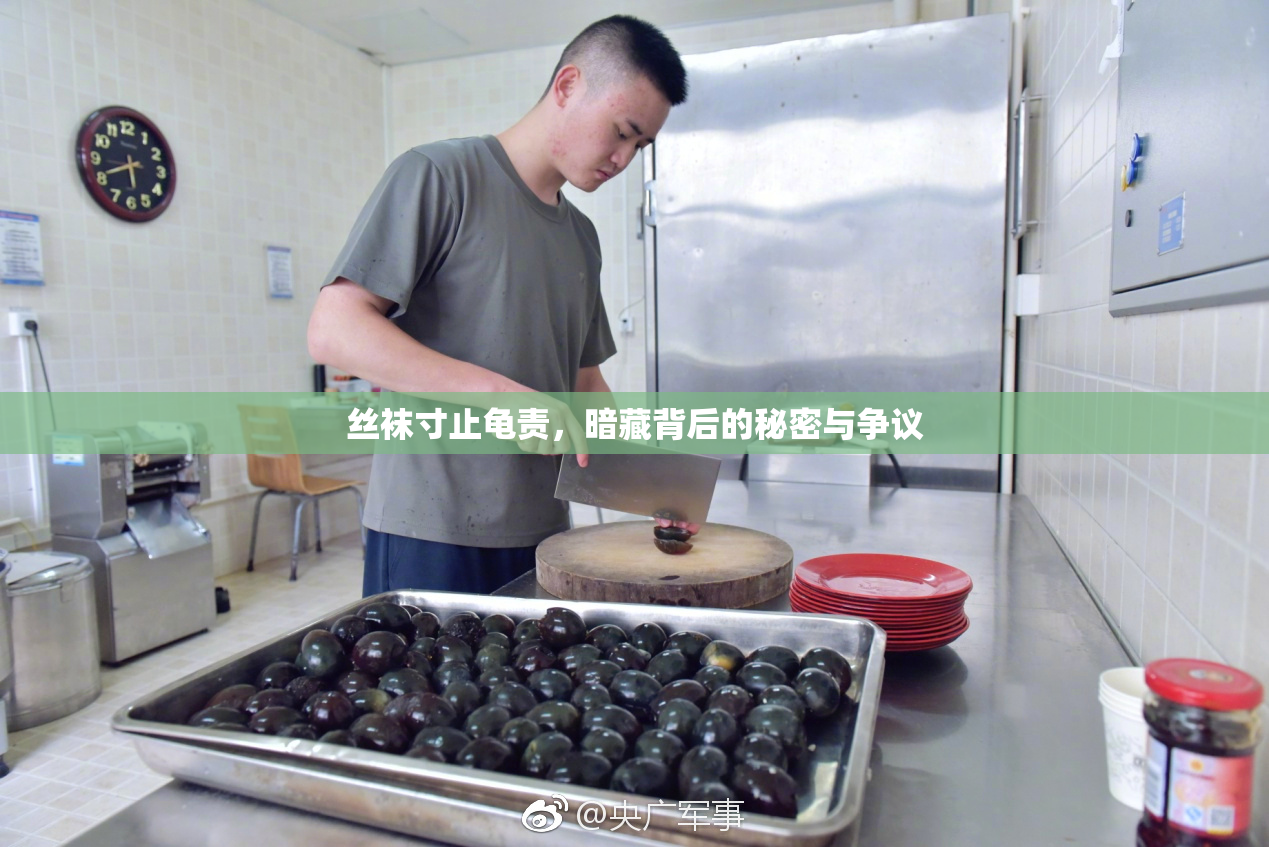 丝袜寸止龟责，暗藏背后的秘密与争议