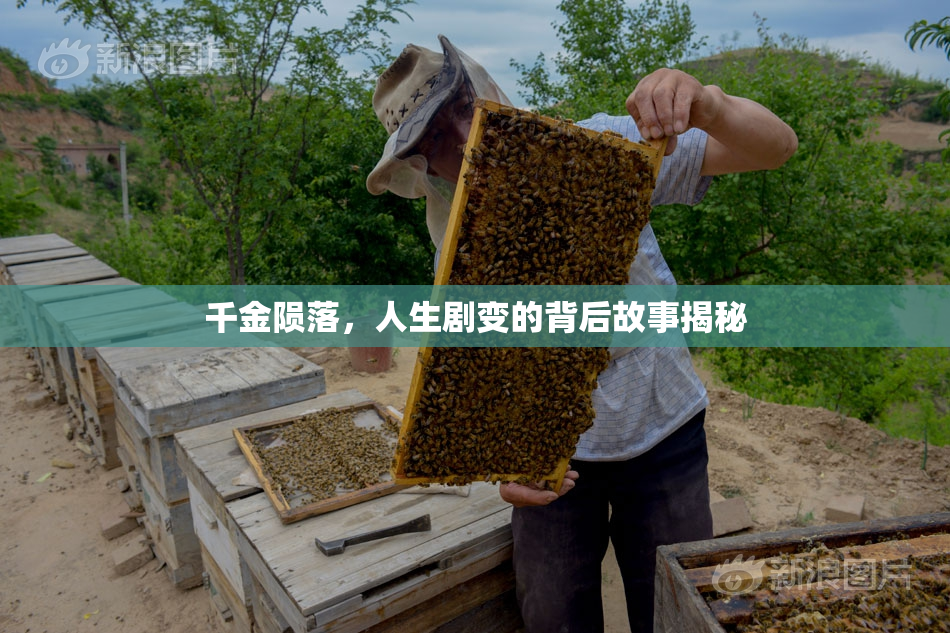 千金陨落，人生剧变的背后故事揭秘