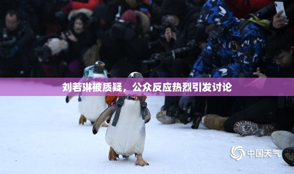 刘若琳被质疑，公众反应热烈引发讨论