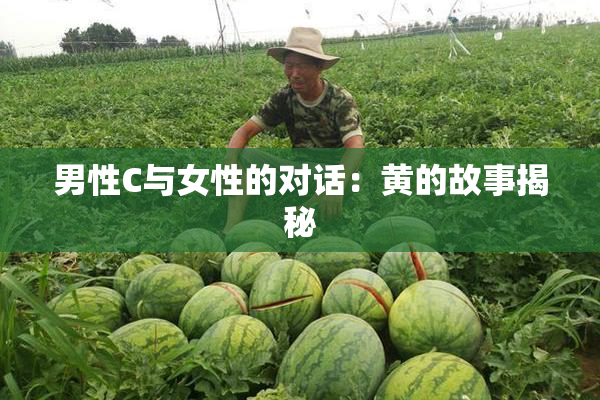 男性C与女性的对话：黄的故事揭秘