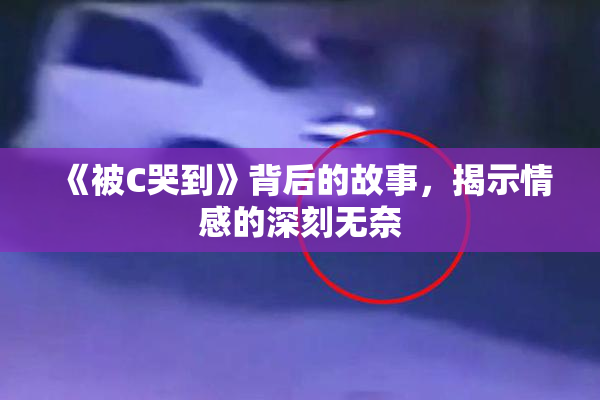 《被C哭到》背后的故事，揭示情感的深刻无奈