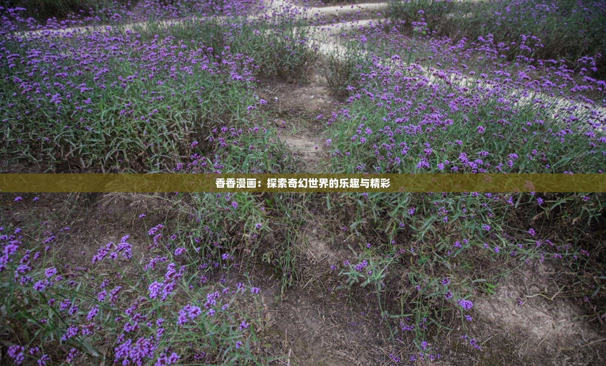 香香漫画：探索奇幻世界的乐趣与精彩