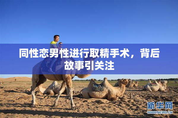 同性恋男性进行取精手术，背后故事引关注