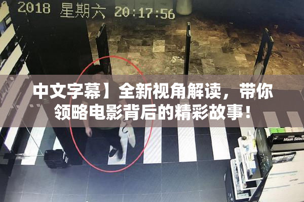 中文字幕】全新视角解读，带你领略电影背后的精彩故事！