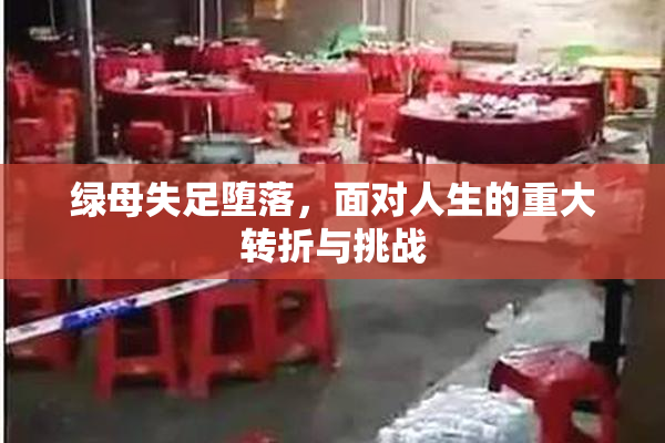绿母失足堕落，面对人生的重大转折与挑战